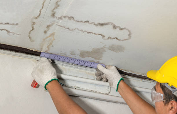 Affordable Water Damage Repair solutions in Odd, WV